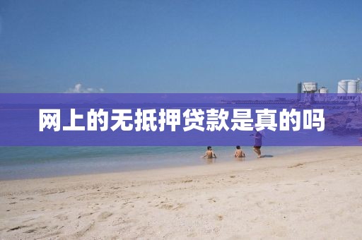 网上的无抵押贷款是真的吗