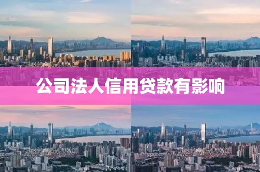 公司法人信用贷款有影响