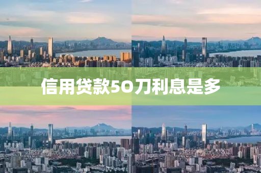 信用贷款5O刀利息是多