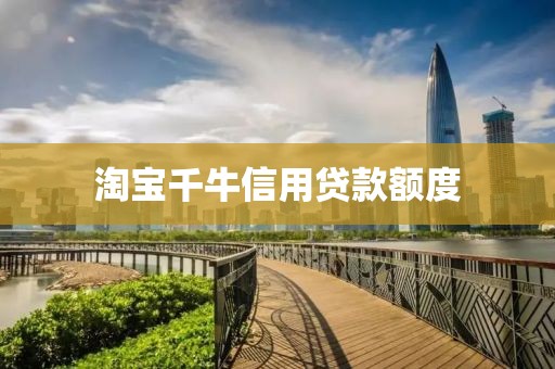 淘宝千牛信用贷款额度