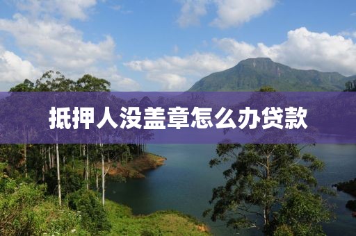 抵押人没盖章怎么办贷款