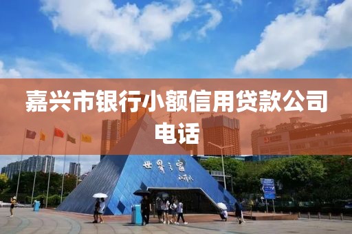 嘉兴市银行小额信用贷款公司电话