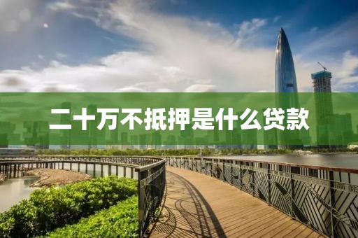 二十万不抵押是什么贷款