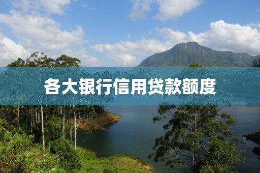 各大银行信用贷款额度