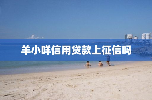 羊小咩信用贷款上征信吗