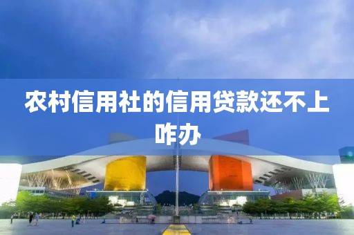 农村信用社的信用贷款还不上咋办