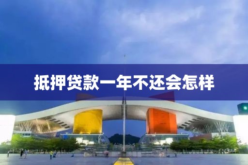 抵押贷款一年不还会怎样
