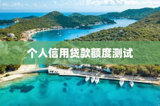 个人信用贷款额度测试