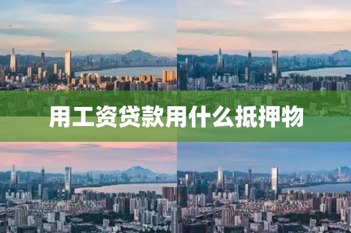 用工资贷款用什么抵押物