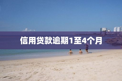 信用贷款逾期1至4个月