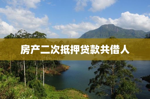 房产二次抵押贷款共借人