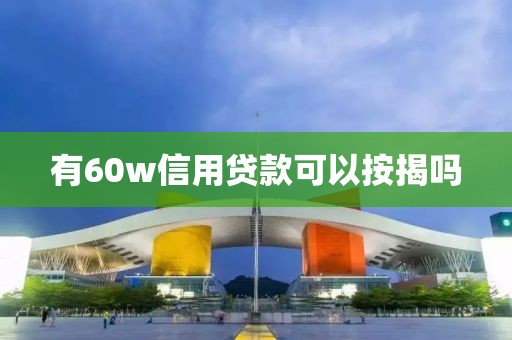 有60w信用贷款可以按揭吗