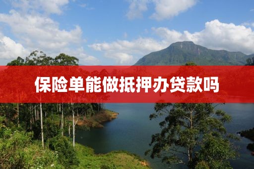 保险单能做抵押办贷款吗