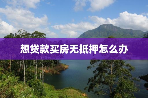 想贷款买房无抵押怎么办