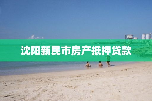 沈阳新民市房产抵押贷款