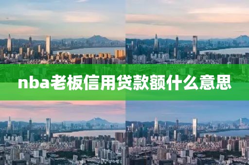 nba老板信用贷款额什么意思