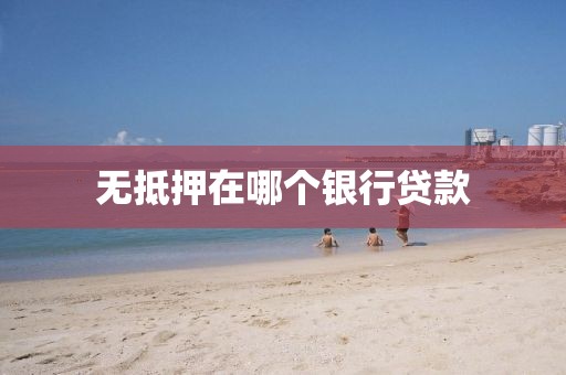 无抵押在哪个银行贷款