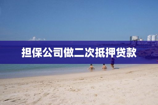 担保公司做二次抵押贷款