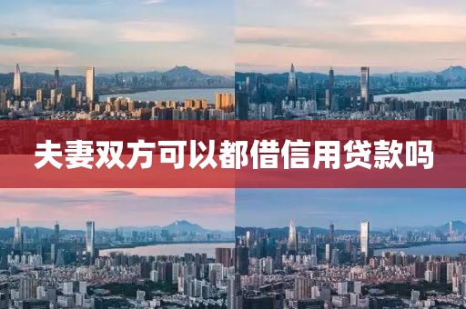 夫妻双方可以都借信用贷款吗