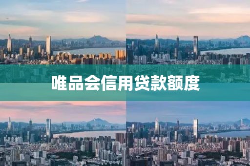 唯品会信用贷款额度