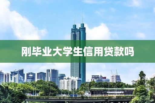 刚毕业大学生信用贷款吗