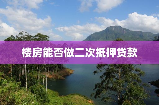 楼房能否做二次抵押贷款