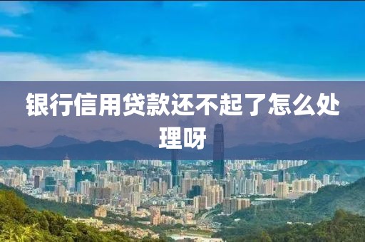 银行信用贷款还不起了怎么处理呀