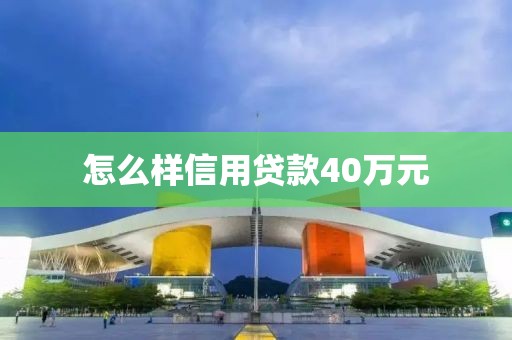 怎么样信用贷款40万元