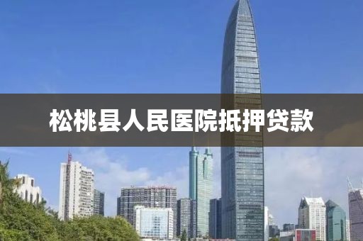 松桃县人民医院抵押贷款