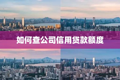 如何查公司信用贷款额度