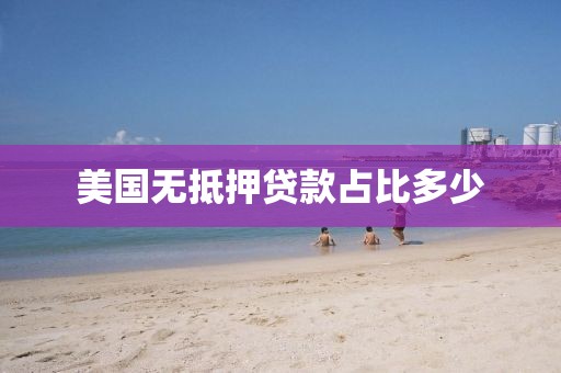 美国无抵押贷款占比多少