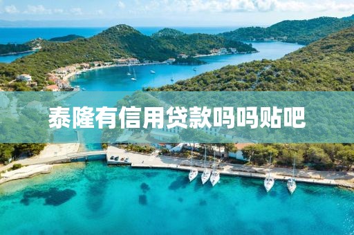 泰隆有信用贷款吗吗贴吧