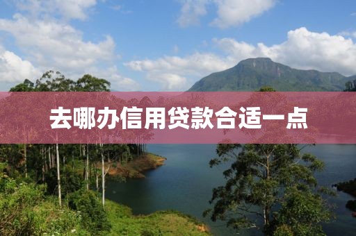 去哪办信用贷款合适一点