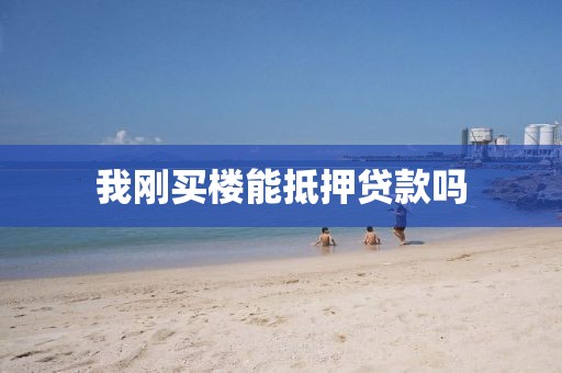 我刚买楼能抵押贷款吗
