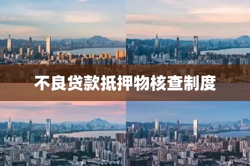 不良贷款抵押物核查制度