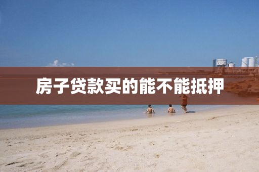 房子贷款买的能不能抵押
