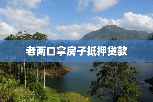 老两口拿房子抵押贷款