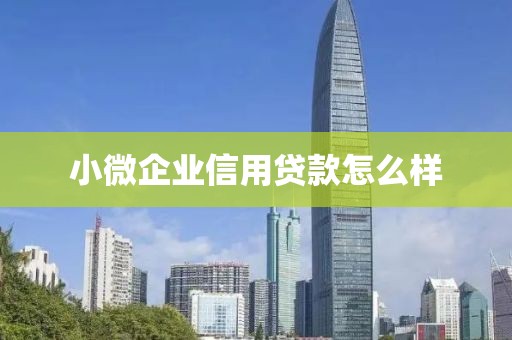 小微企业信用贷款怎么样