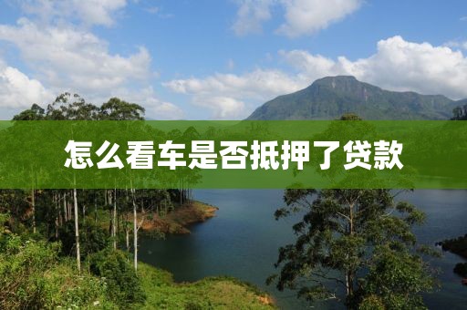 怎么看车是否抵押了贷款
