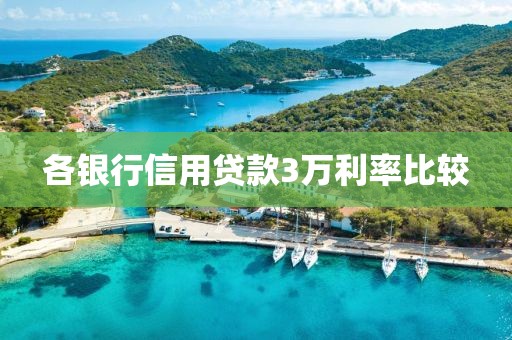 各银行信用贷款3万利率比较