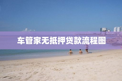 车管家无抵押贷款流程图