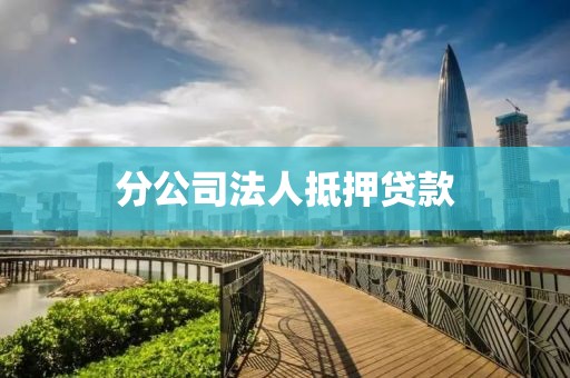 分公司法人抵押贷款