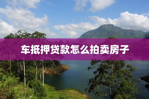 车抵押贷款怎么拍卖房子