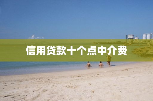 信用贷款十个点中介费