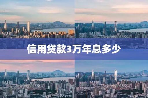 信用贷款3万年息多少