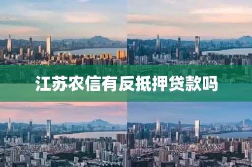 江苏农信有反抵押贷款吗