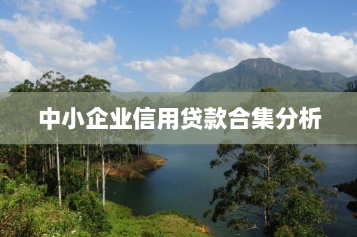 中小企业信用贷款合集分析
