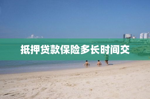 抵押贷款保险多长时间交