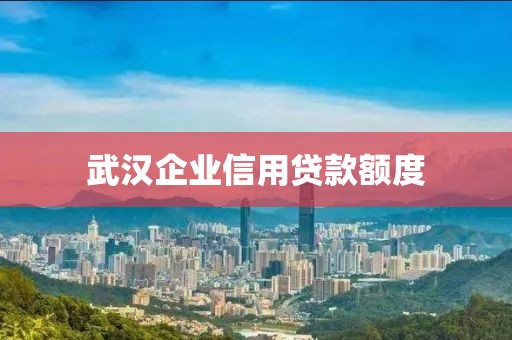 武汉企业信用贷款额度