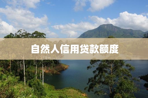 自然人信用贷款额度